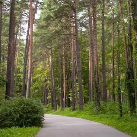 Cozy 2-bedroom Flat With Terrace & Parking By Alfa *