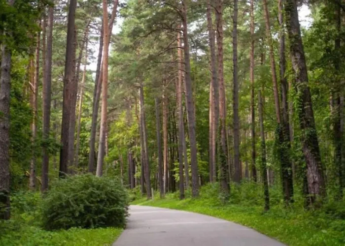 Cozy 2-bedroom Flat With Terrace & Parking By Alfa *